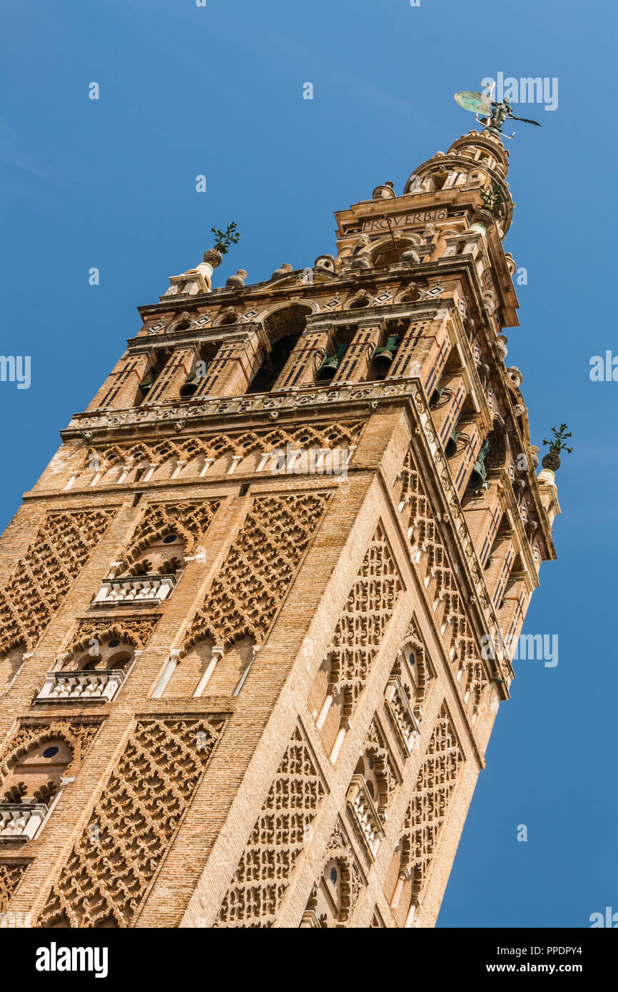 La Giralda, le clocher de la Cathédrale de Séville Séville, Espagne. Banque D'Images