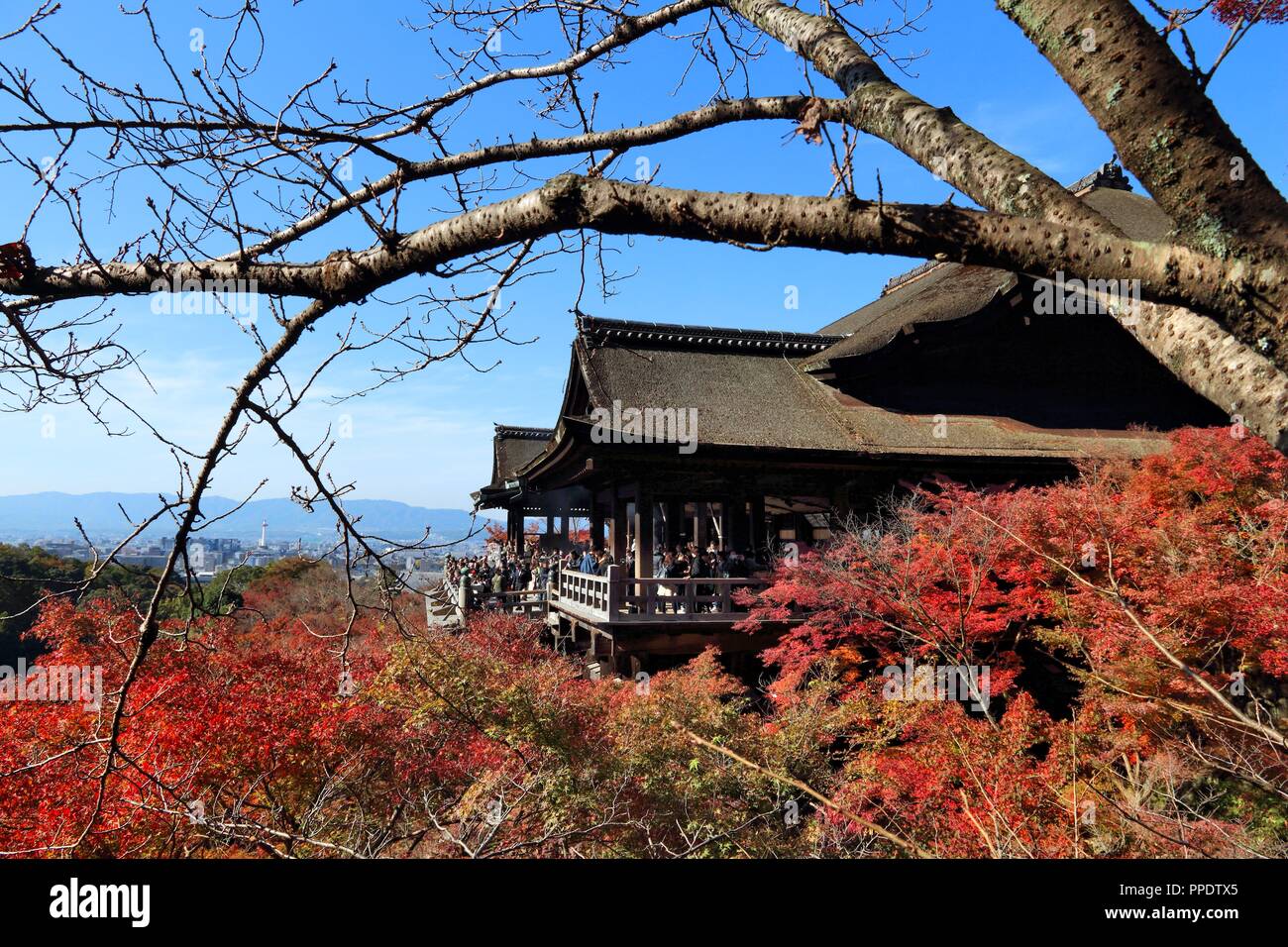 KYOTO, JAPON - 26 NOVEMBRE 2016 : personnes visitent le temple Kiyomizu-dera à Kyoto au Japon. A Kyoto 17 sites du patrimoine mondial de l'UNESCO. Banque D'Images