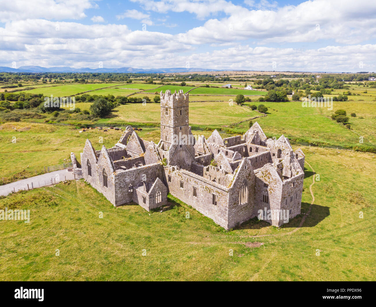 Fondée en 1351 et située près de Headford dans le comté de Galway, Ross Errilly Friary est l'un des mieux préservés en sites monastiques du moyen âge en Irlande. Banque D'Images