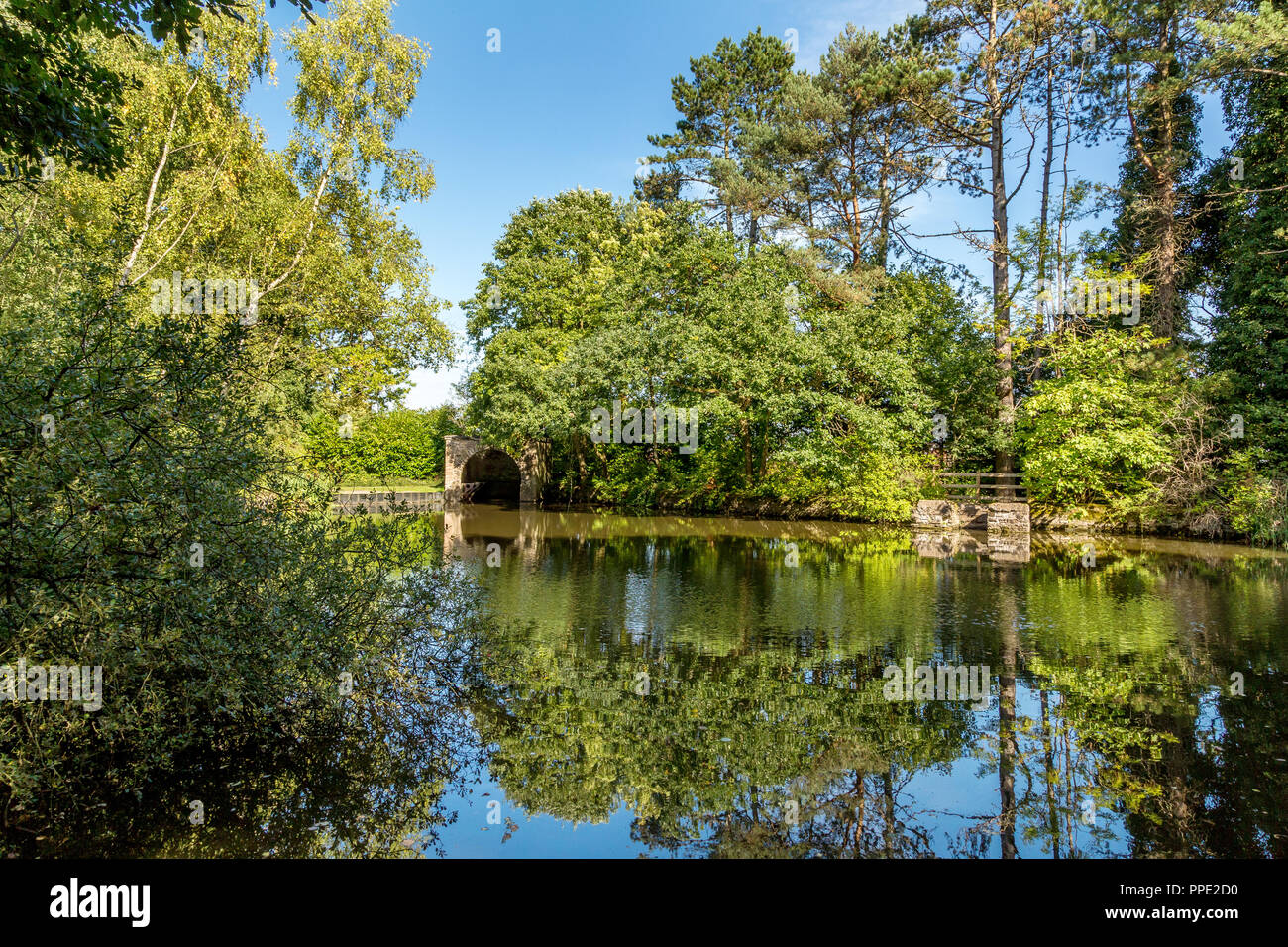 Southcrest Woods à Redditch, Worcestershire, Angleterre sur une journée ensoleillée. Banque D'Images