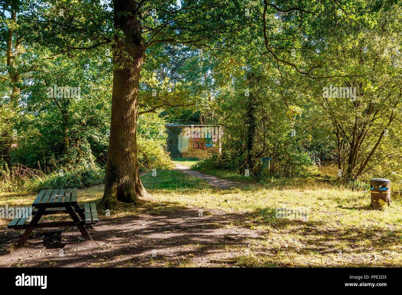 Southcrest Woods à Redditch, Worcestershire, Angleterre sur une journée ensoleillée. Banque D'Images