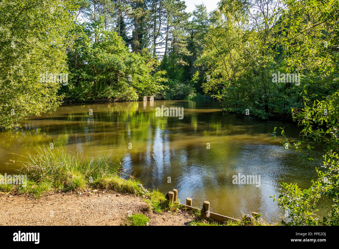 Southcrest Woods à Redditch, Worcestershire, Angleterre sur une journée ensoleillée. Banque D'Images