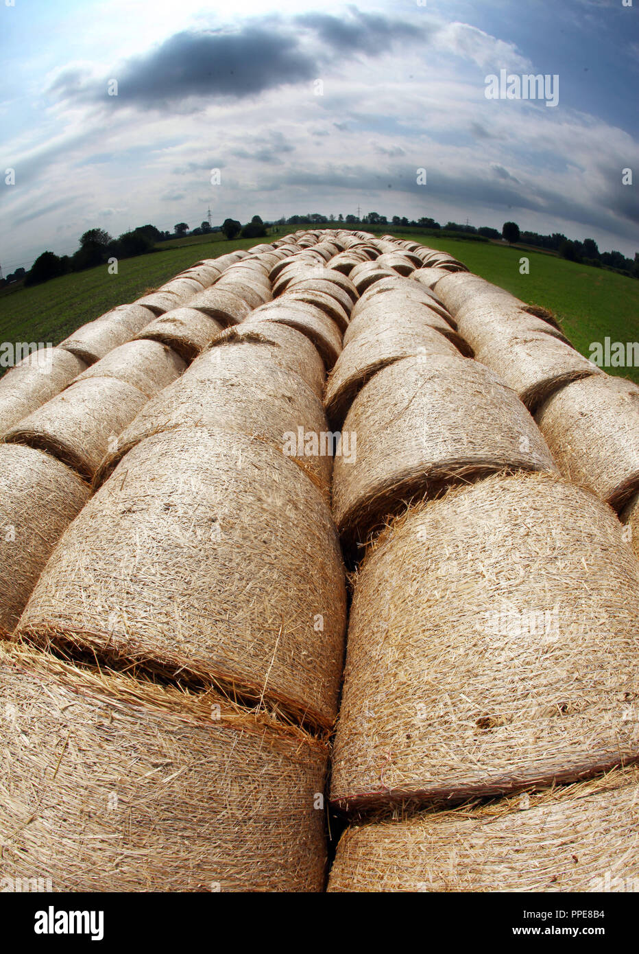 Bottes de paille sur un pré en Puchheim-Ort Ost. Banque D'Images