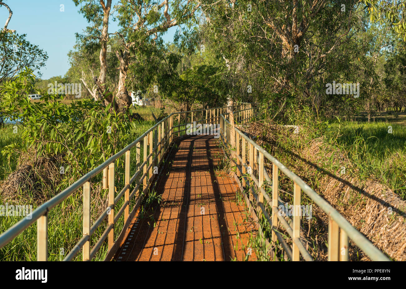 Sentier de marche, l'eau jaune Les zones humides, le Parc National de Kakadu, NT, Australie Banque D'Images