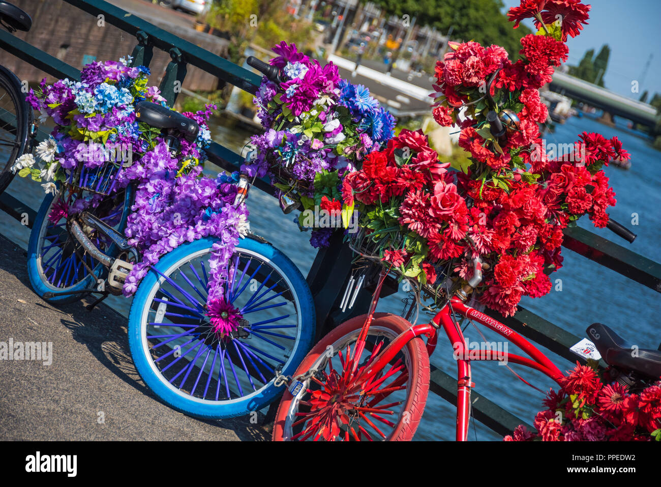Amsterdam, geschmückte Fahrräder - Amsterdam, des vélos décorés Banque D'Images