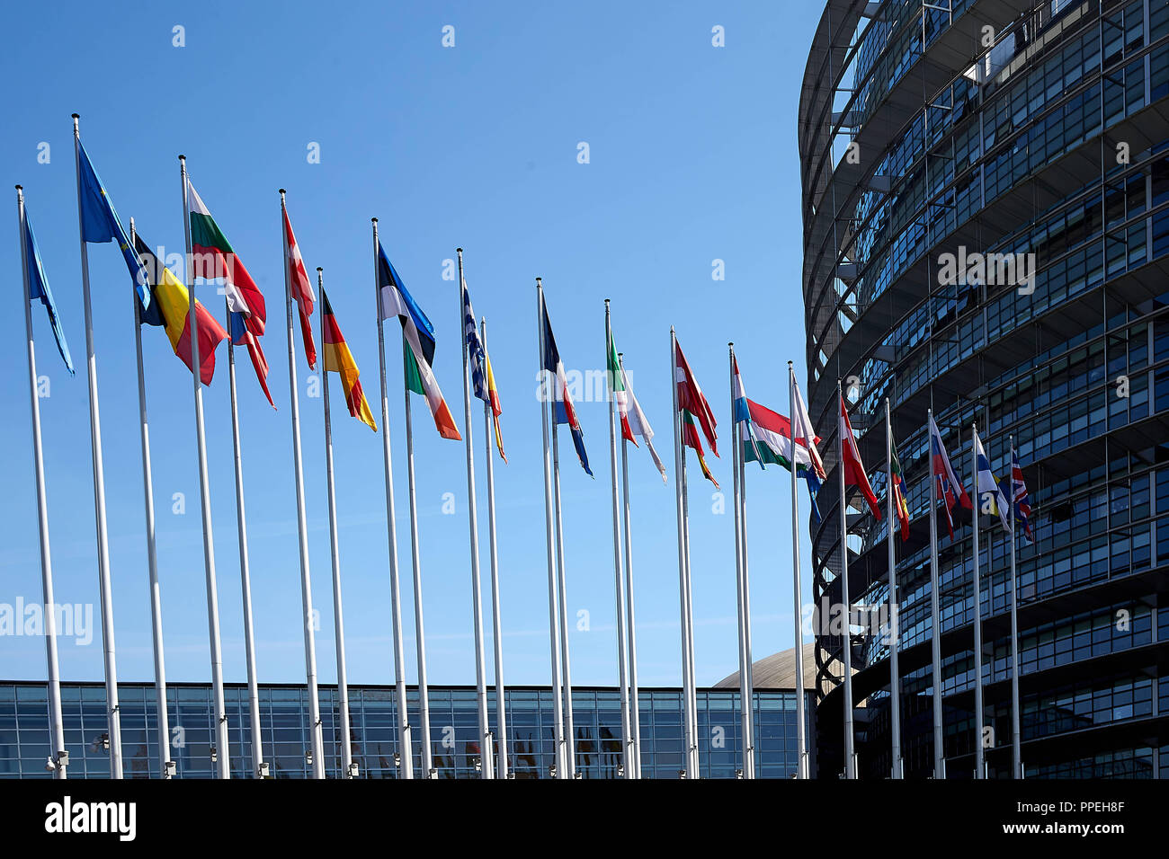 Les drapeaux sur le Parlement européen Banque D'Images