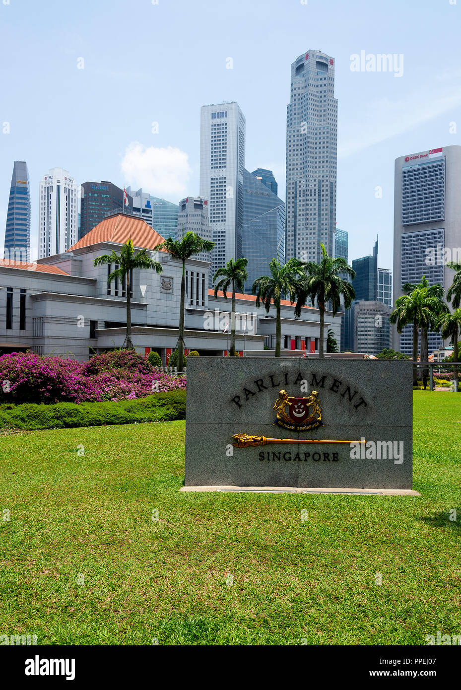 La belle maison du Parlement bâtiment avec les gratte-ciels du quartier financier avec bougainvilliers pourpres bractées florales à Singapour Banque D'Images