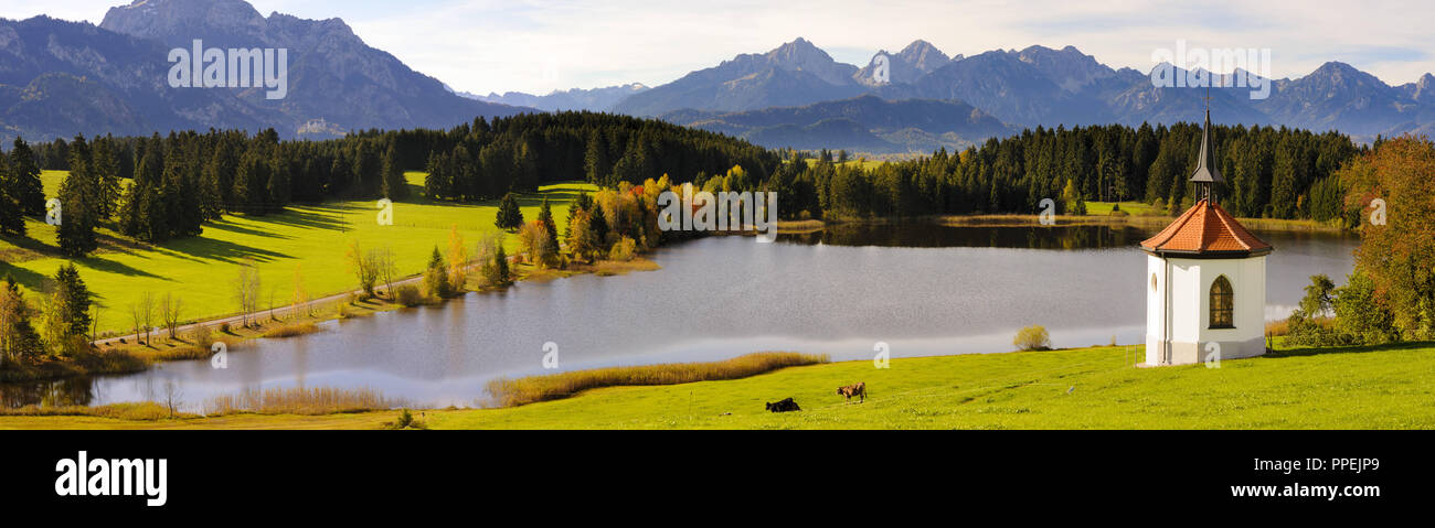 Paysage panoramique en Bavière avec le Hegratsrieder Weiher dans l'Allgaeu Banque D'Images