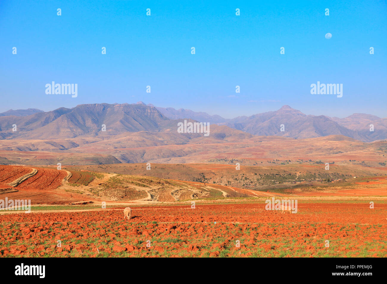 Le Royaume du Lesotho, accueil des Basotho Banque D'Images