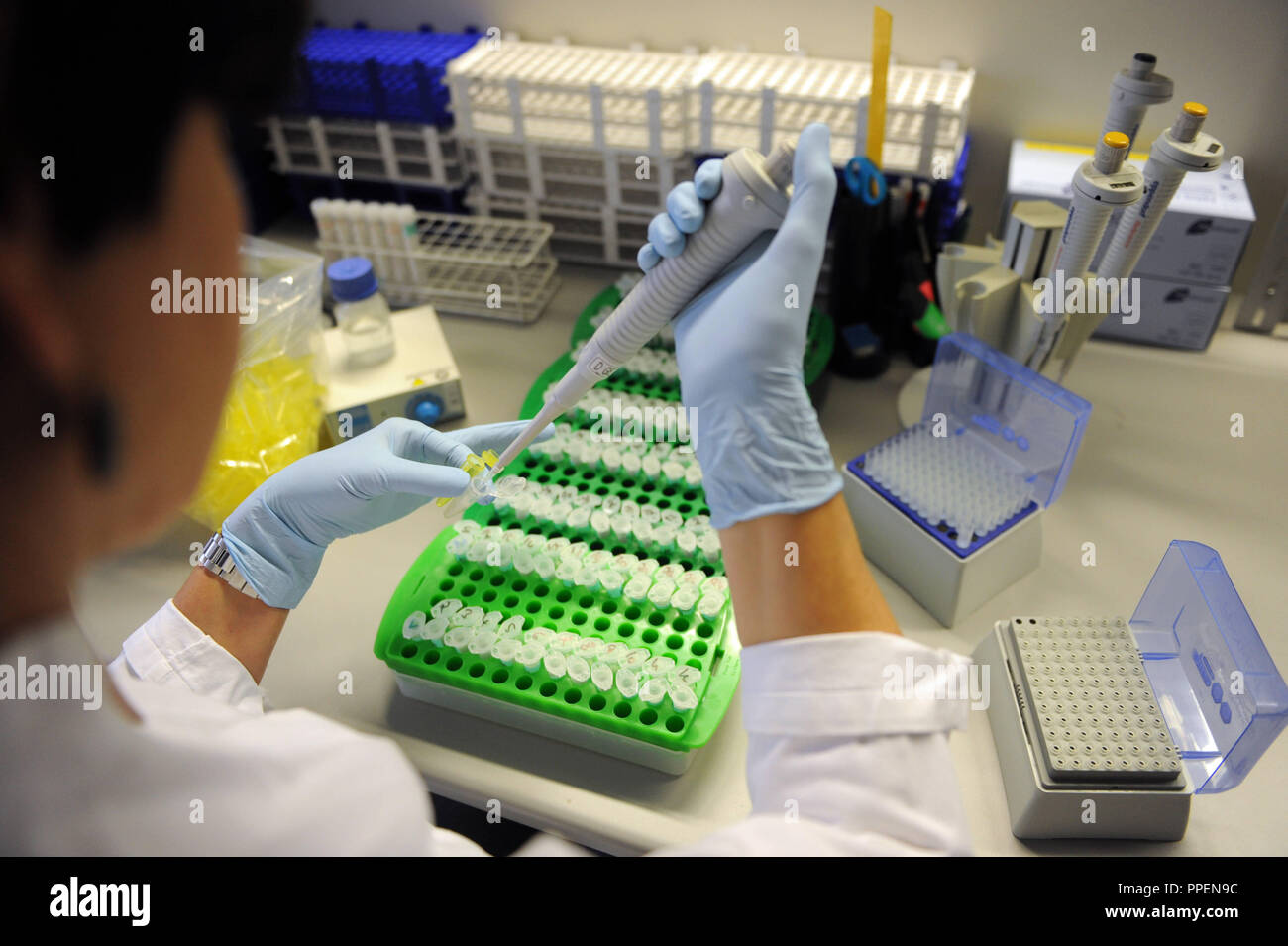 Chef de laboratoire Bayer Birgit examinant des échantillons d'ADN d'un test dans le laboratoire de biologie moléculaire médico-légale à l'Institut de médecine légale, Université Ludwig Maximilian (LMU) dans le Nussbaumstrasse. Banque D'Images
