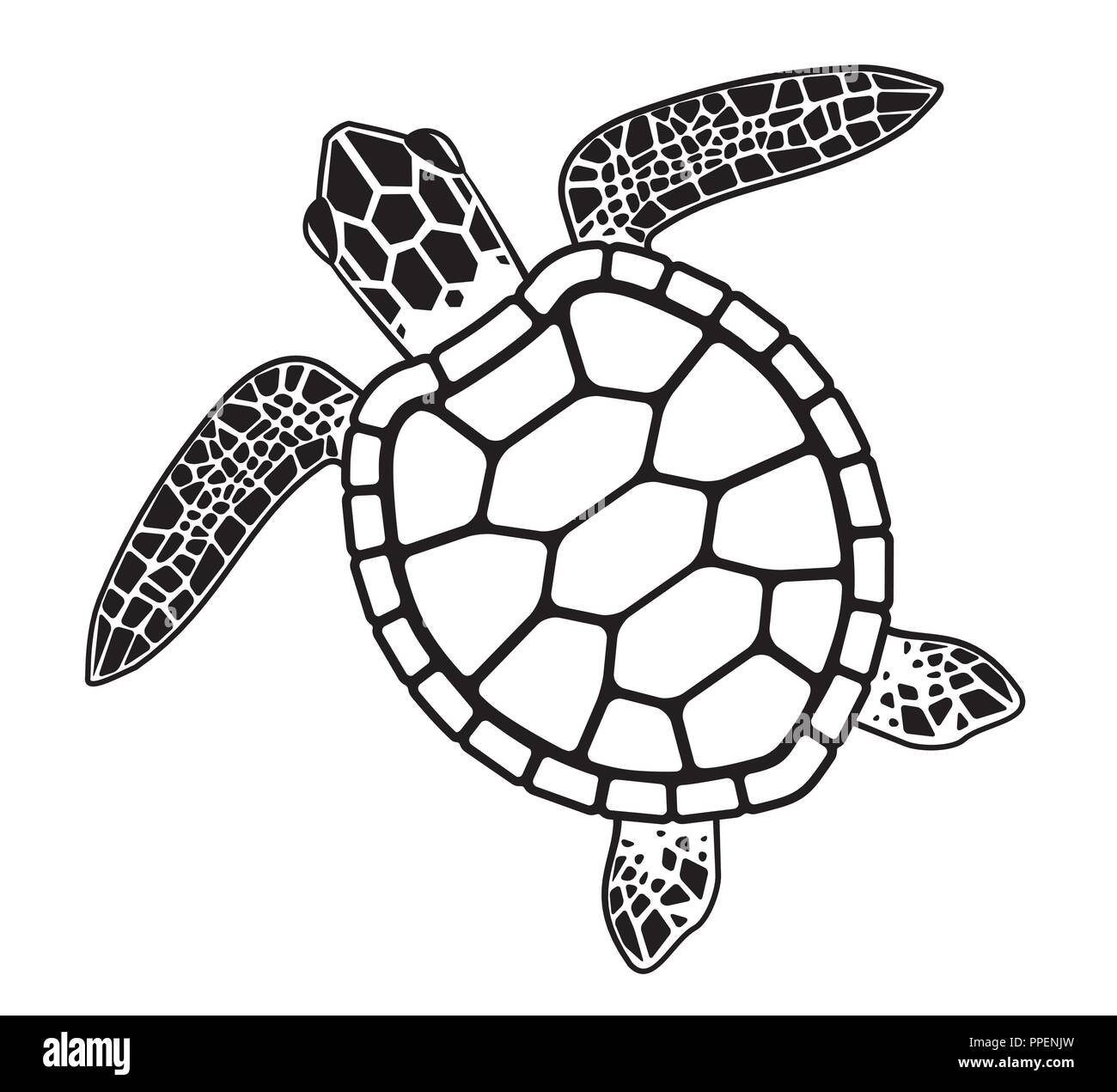 Illustration graphique de vecteur d'une tortue de mer de la faune Illustration de Vecteur