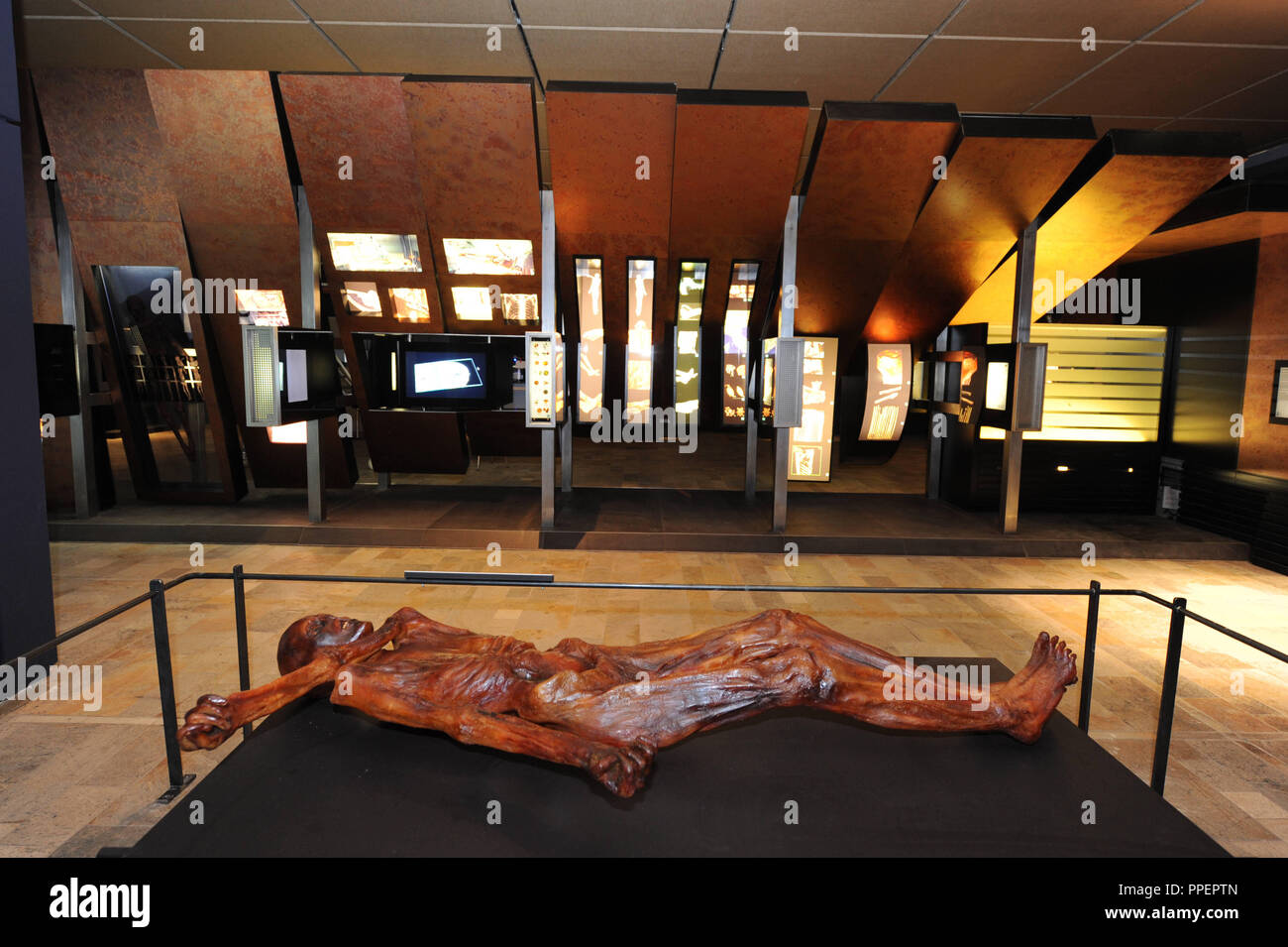 Exposition 'Ötzi 2.0 - Actualités sur la glace maman' à l'État de Bavière Collection archéologique à Munich, Allemagne Banque D'Images