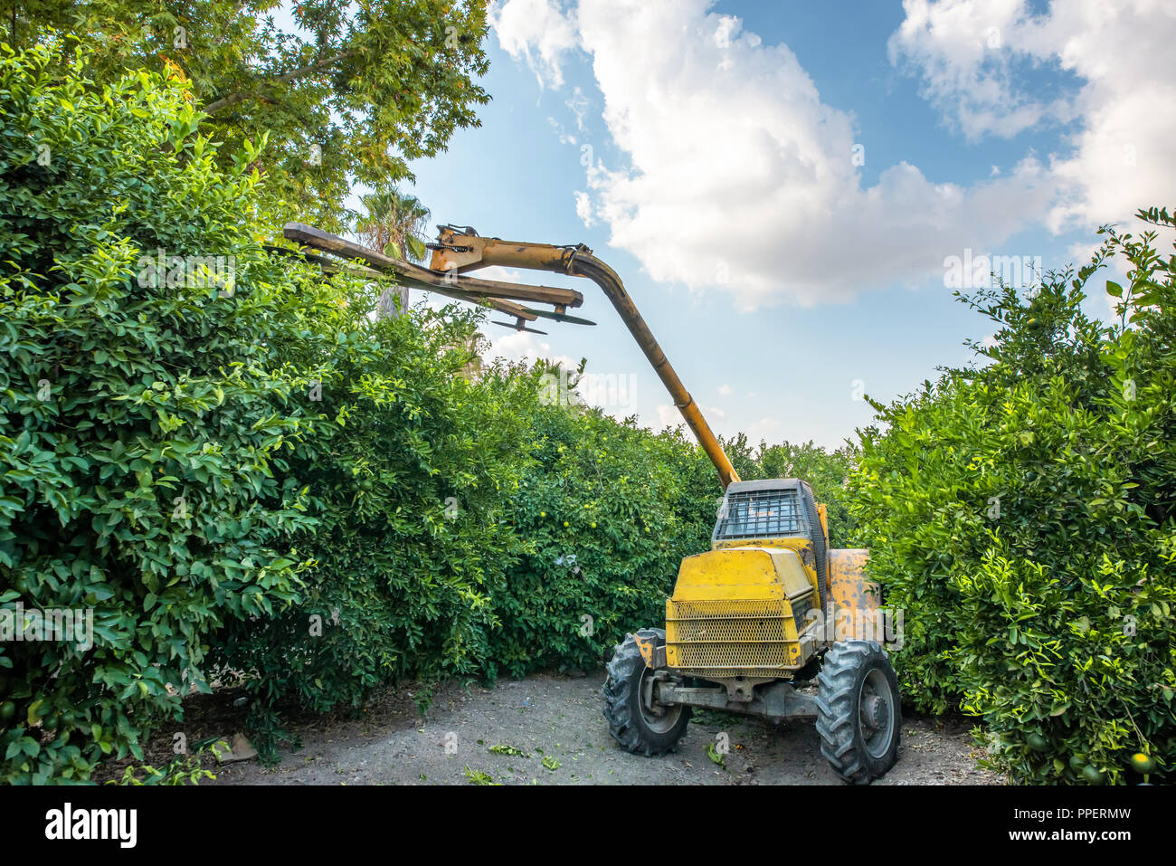 Véhicule agricole jaune arbre élagage.Les véhicules de l'industrie lourde Banque D'Images