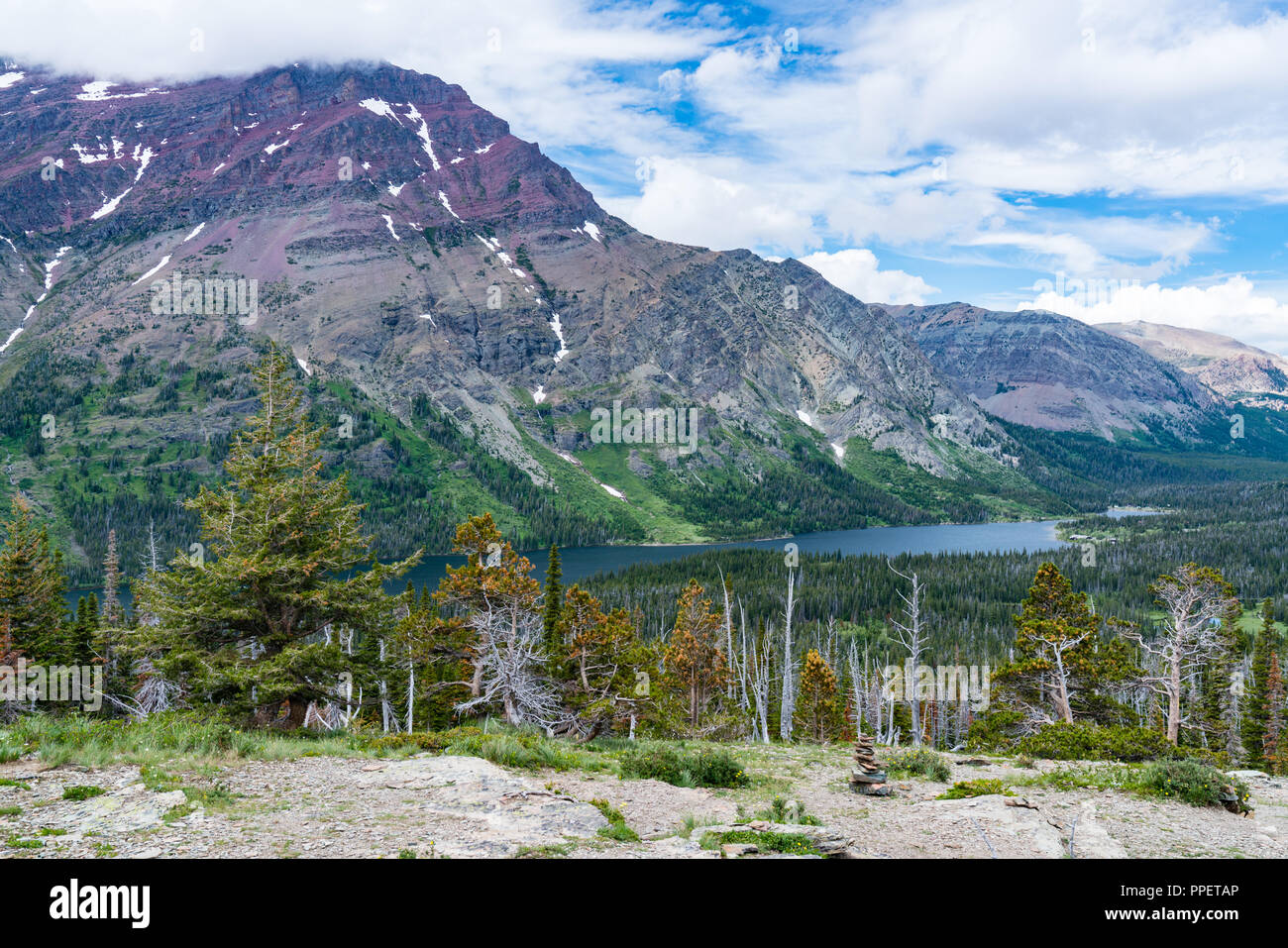 Vue de deux le lac Medicine de l'Aster, des sentiers du parc Glacier National Park, Montana Banque D'Images