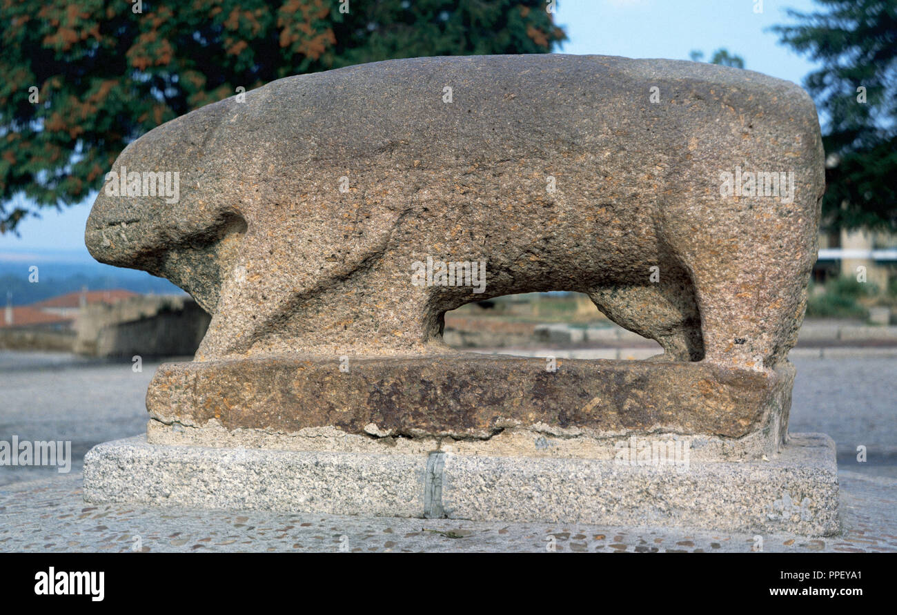 Culture de Verracos (3ème-4ème siècles). Détail de Verraco. Monument mégalithique de granit. Représenté des porcs ou des taureaux. Meseta ibérique de l'Est. Pre-roman peuples celtiques. Ciudad Rodrigo. Province de Salamanque. L'Espagne. Banque D'Images