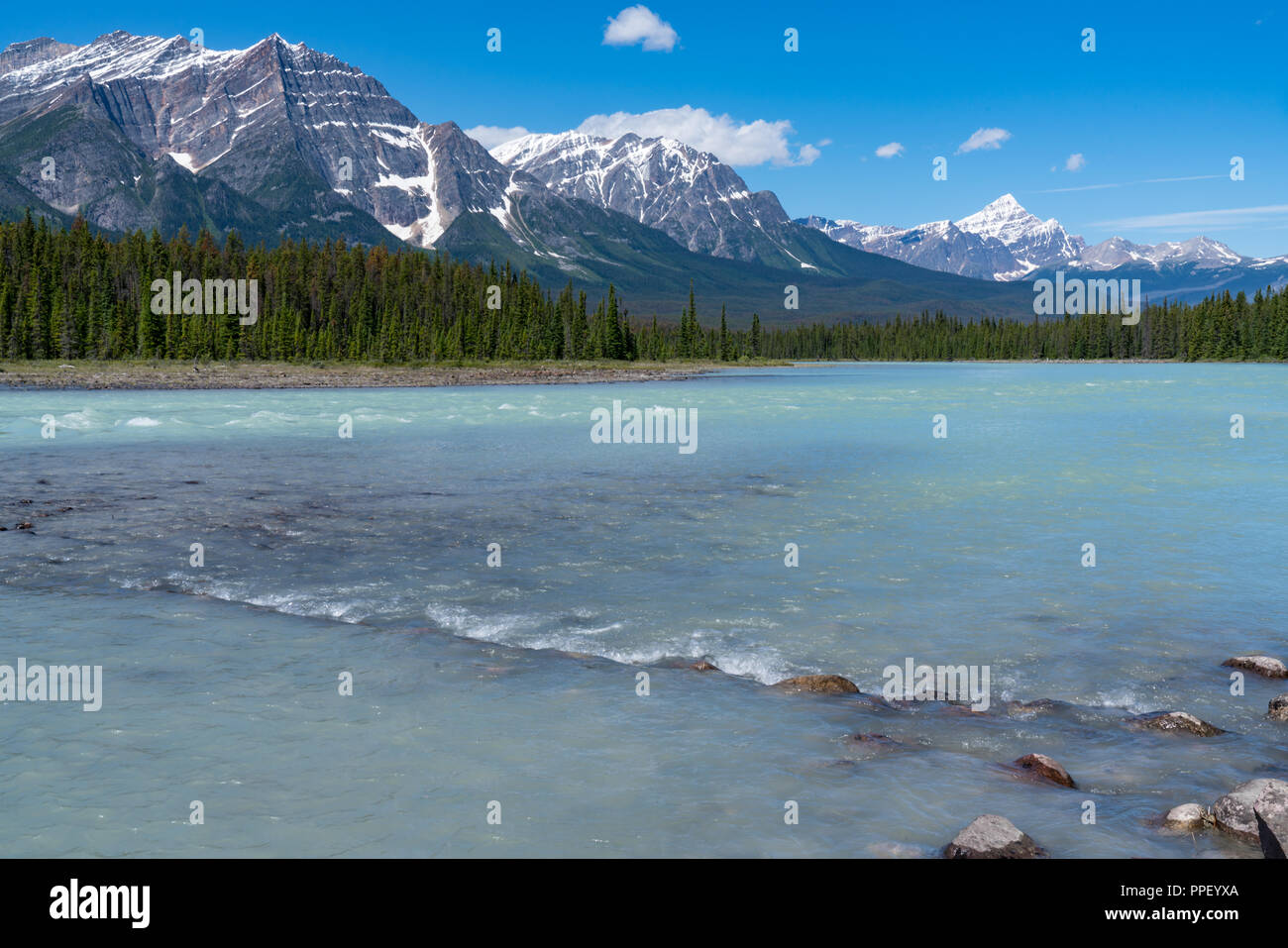 Le long de l'eau turquoise de la rivière Bow dans le parc national Jasper, Alberta, Canada Banque D'Images