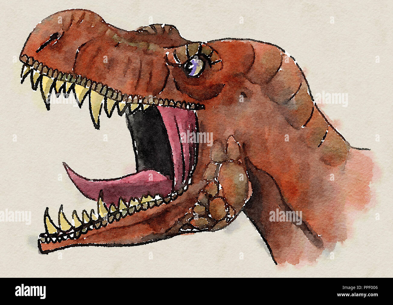 Tyrannosaurus rex chef illustration Banque D'Images