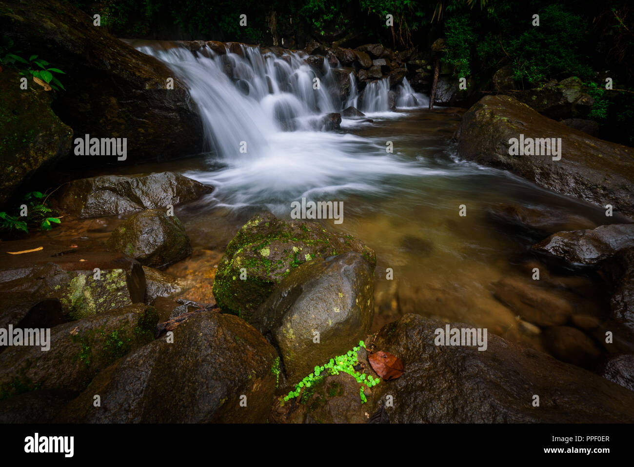 Partie de plus grande cascade nommée Ciherang, à Bogor, Java ouest Banque D'Images