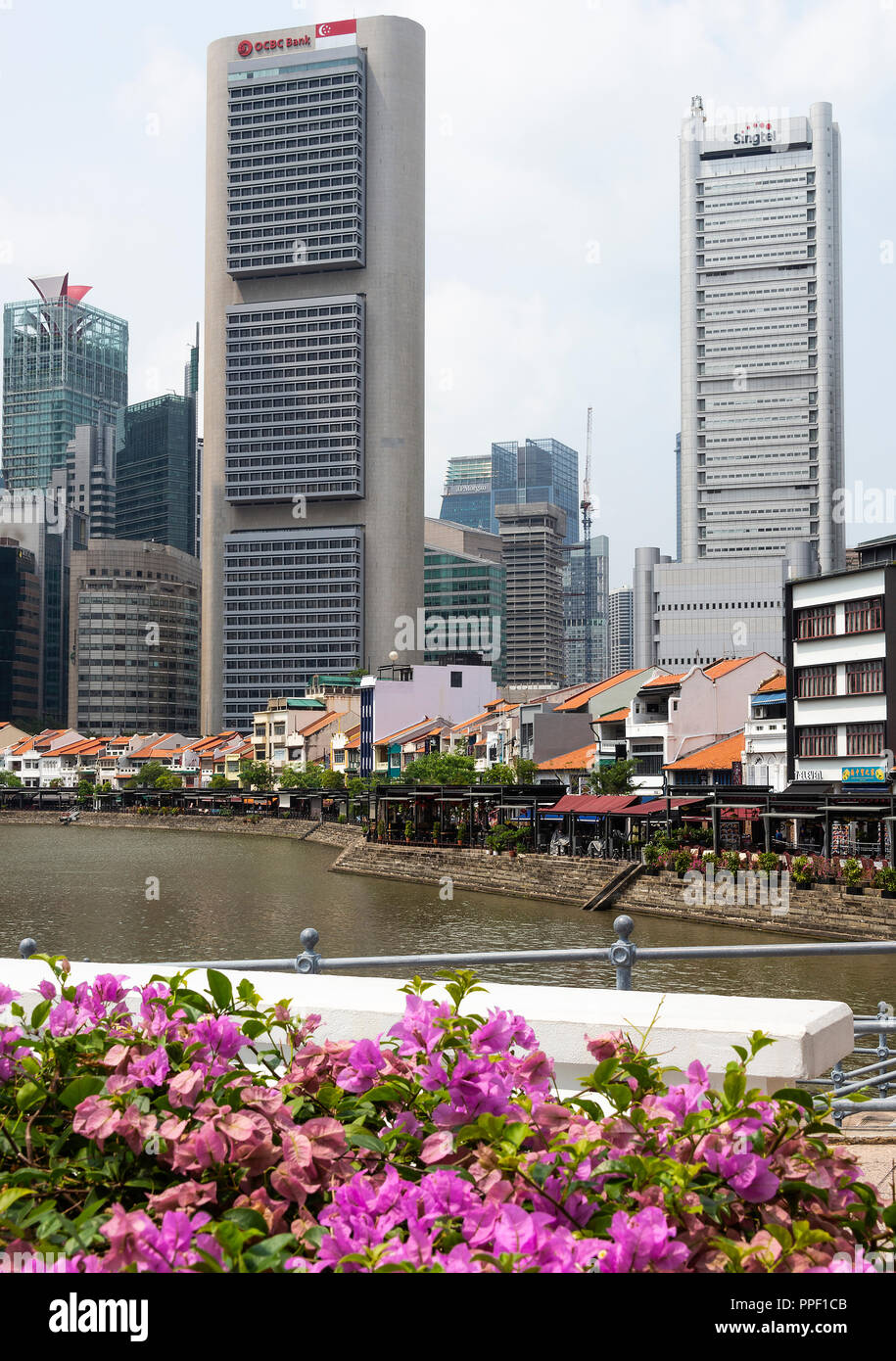 Boat Quay avec le quartier des gratte-ciel en arrière-plan par la rivière Singapour et de premier plan de bougainvilliers pourpres bractées florales Banque D'Images