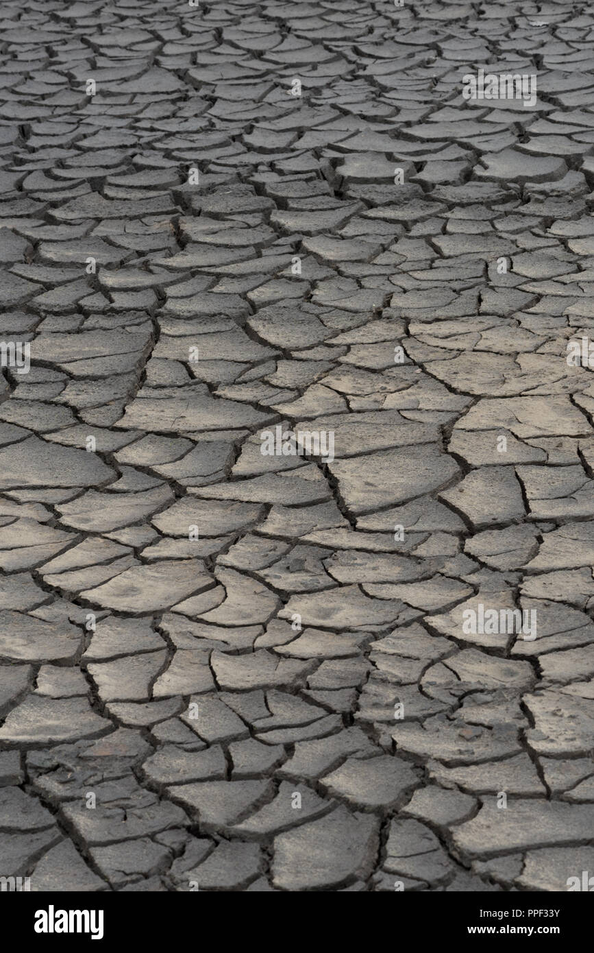 Mudcracks au bas de sèches réservoir Woodhead, Derbyshire Banque D'Images