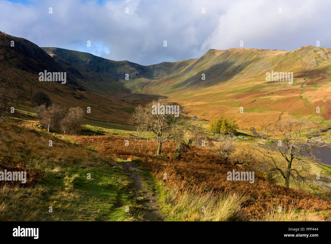 Vue le long Riggindale Kidsty en direction de High Street et Pike dans le Parc National du Lake District, Cumbria, Angleterre. Banque D'Images