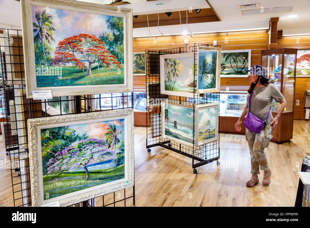 West Palm Beach Florida, Grassy Waters Preserve, Florida Highwaymen peinture exposition de peintures, adultes femme femmes femme femme, recherche, les visiteurs Voyage Banque D'Images