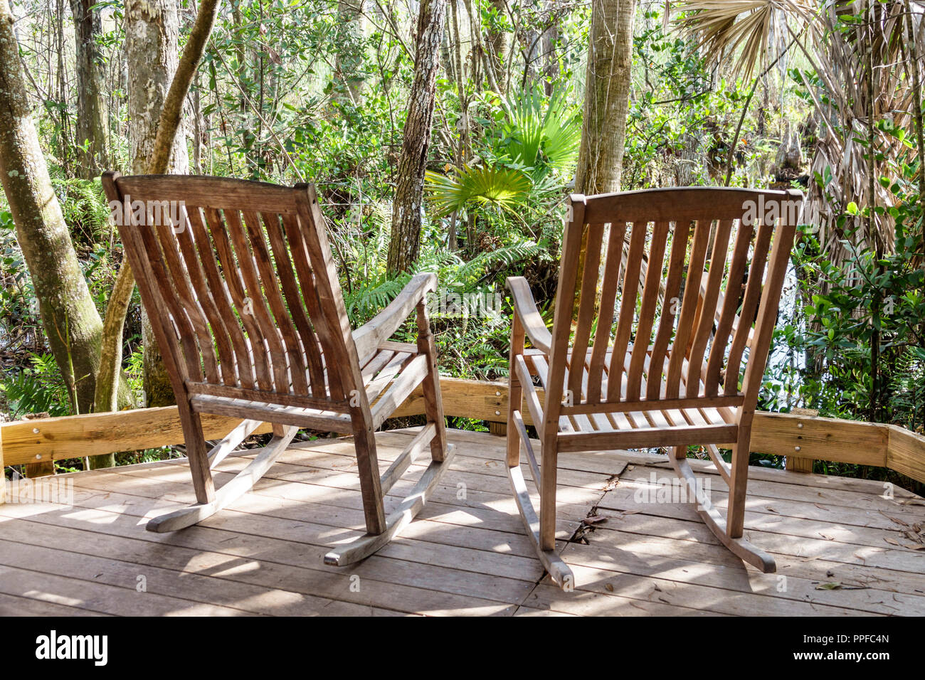 Eaux herbeuses nature préserver écosystème marécageux, chaises à bascule, FL180212134 Banque D'Images