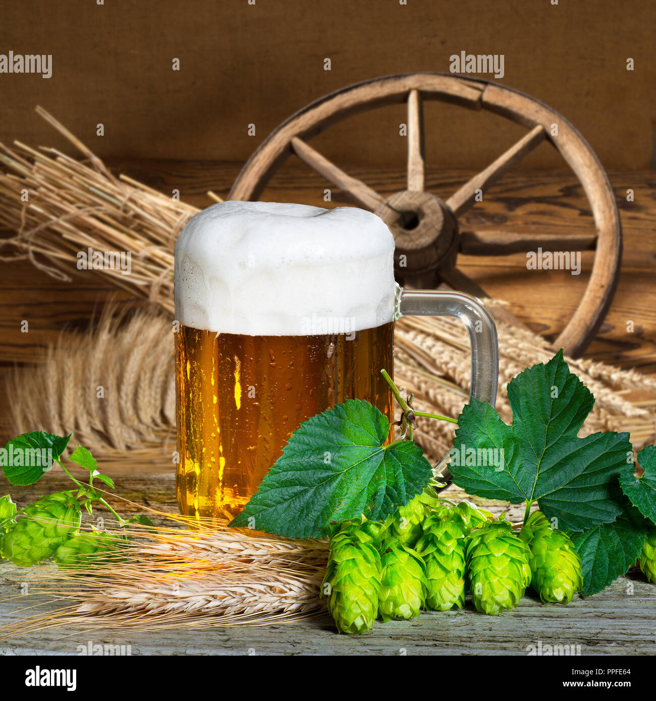 Verre de bière et la matière première pour la production de bière Banque D'Images