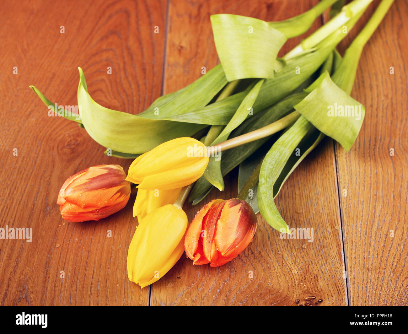 Fleurs bouquet de tulipes sur fond en bois brun Banque D'Images