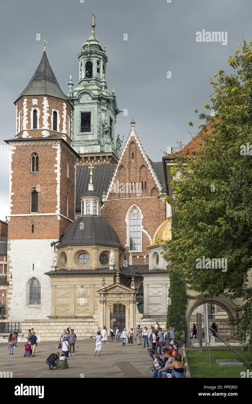 Château de Wawel. Cathédrale. Le siège des rois de Pologne. Banque D'Images