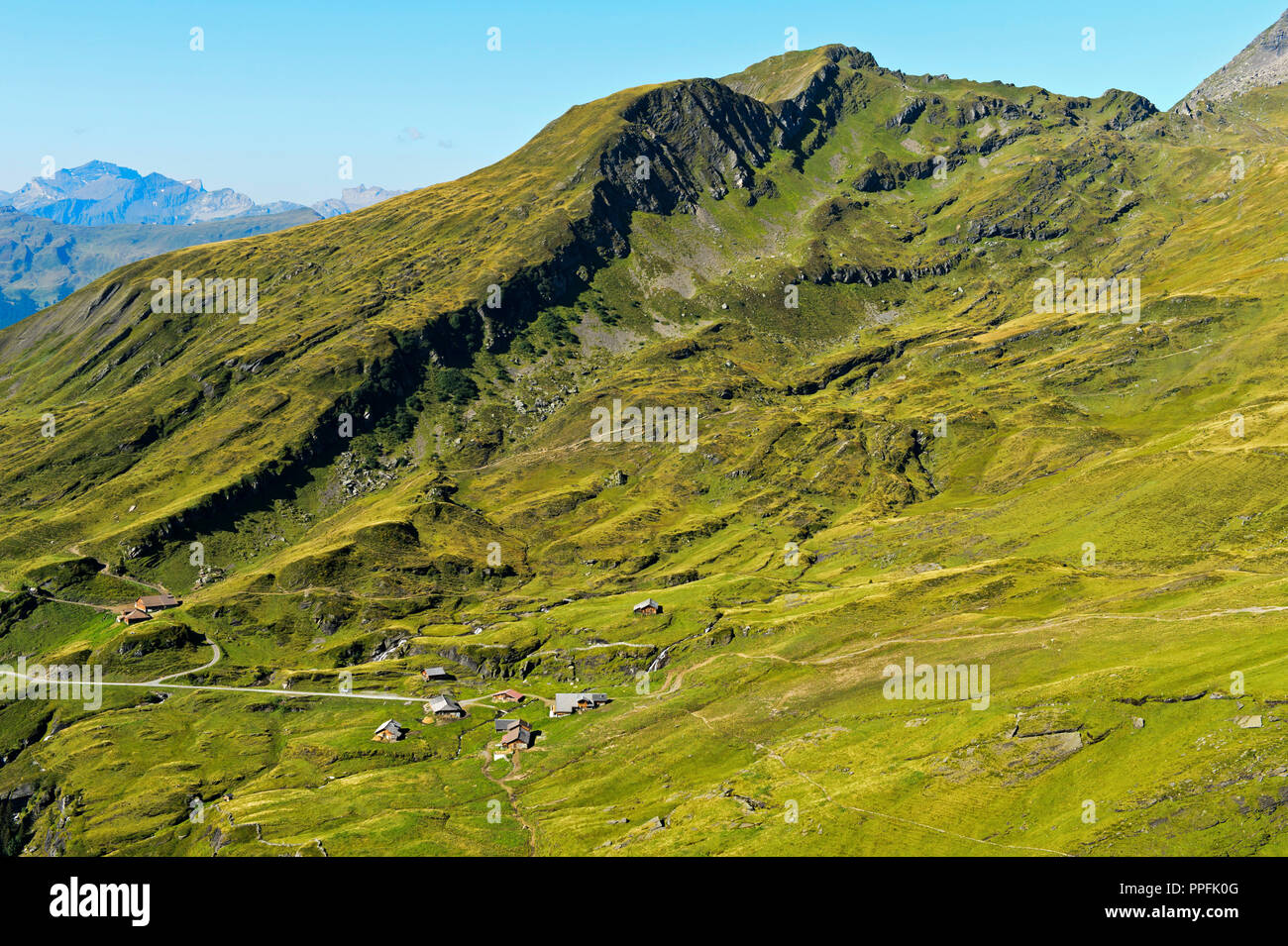 Alp Bachläger, Grindelwald, Oberland Bernois, Suisse Banque D'Images