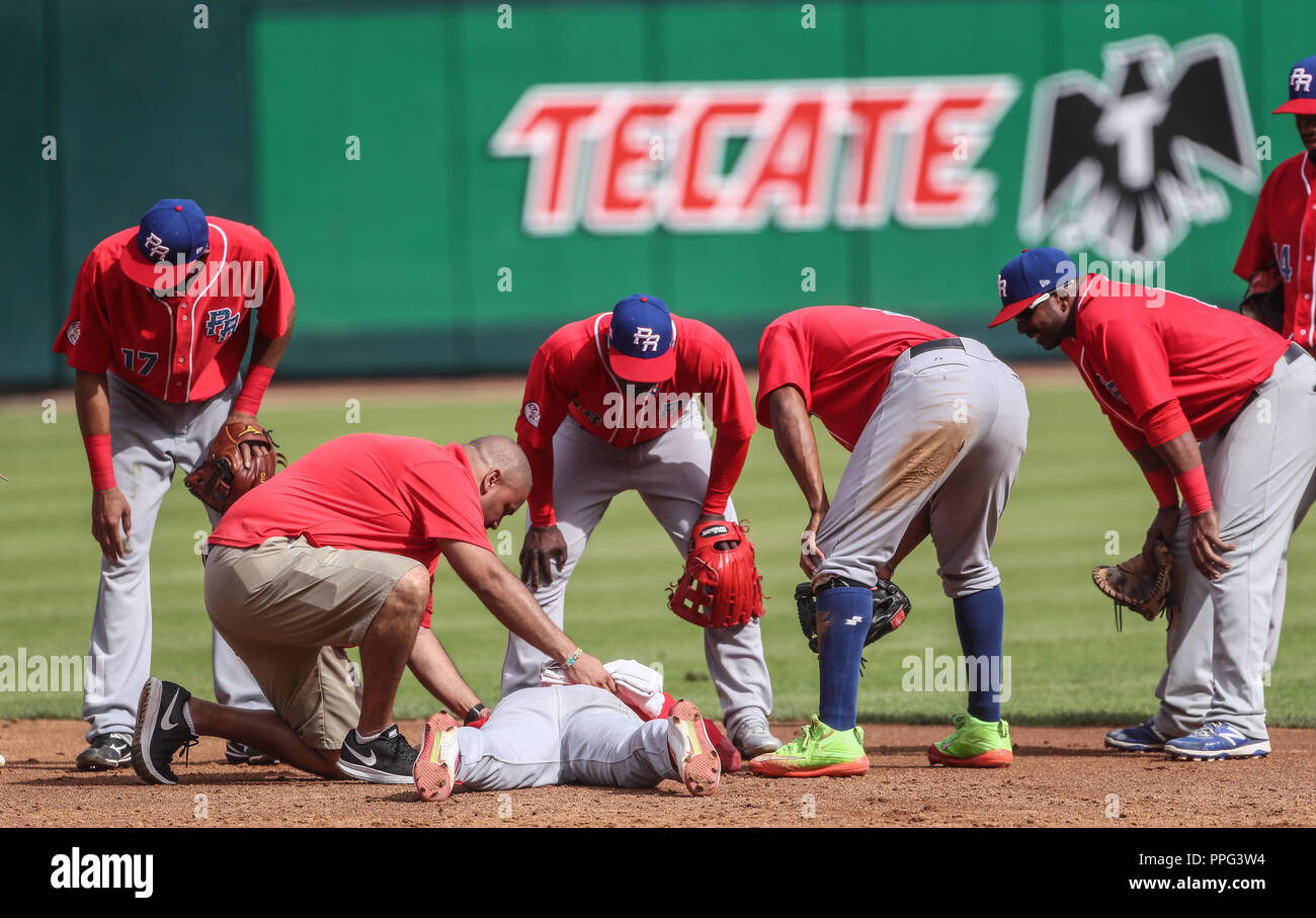 Yadlliel Rivera, Ruben Gotay, Rusney Castillo y Henry Ramos observan Jesmuel Valentin, segunda base de Porto Rico que tendido Salle Pleyel - saison 2010/2011 Retrouvez en el suelo lueg Banque D'Images