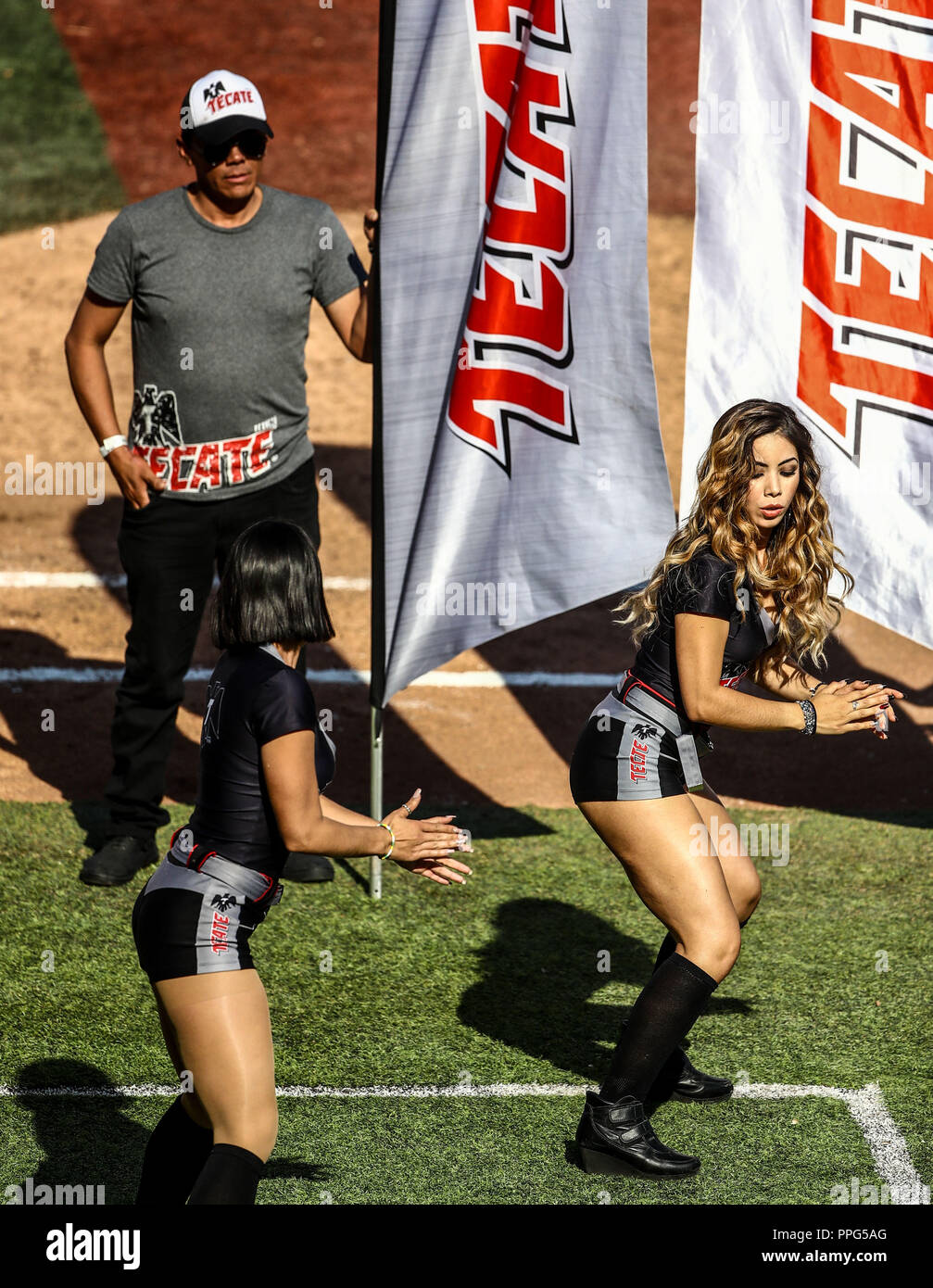 Animadoras, porritas chicas Tecate. . Acciones, durante el partido de beisbol entre Criollos de Caguas de Puerto Rico contra las Águilas Cibaeñas de Banque D'Images