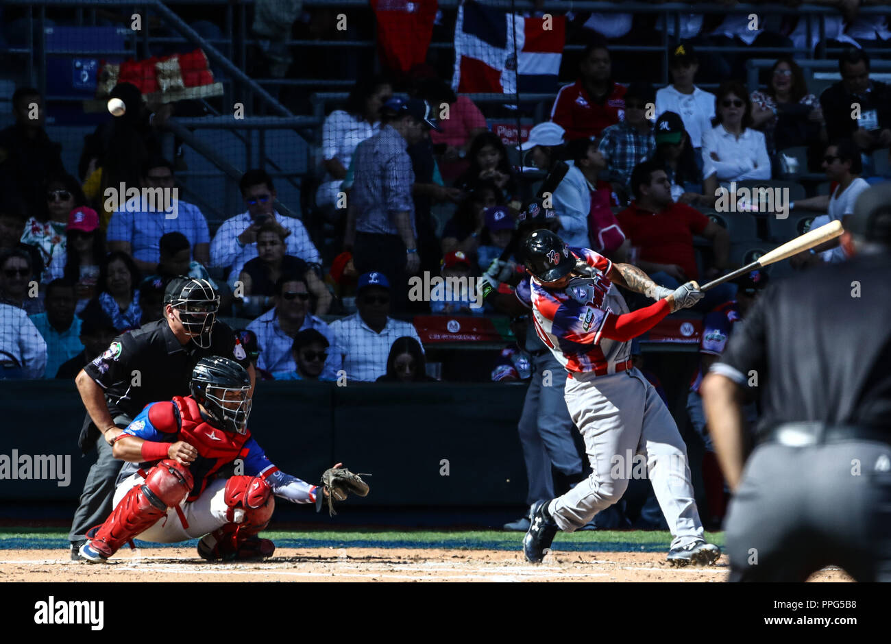 Christian Bethancourt bat por Republica Dominicana. . Acciones, durante el partido de beisbol entre Criollos de Caguas de Puerto Rico contra las Á Banque D'Images