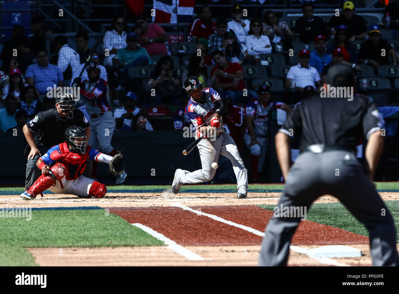 Rey Navarro.. . Acciones, durante el partido de beisbol entre Criollos de Caguas de Puerto Rico contra las Águilas Cibaeñas de Republica Dominicana, d Banque D'Images
