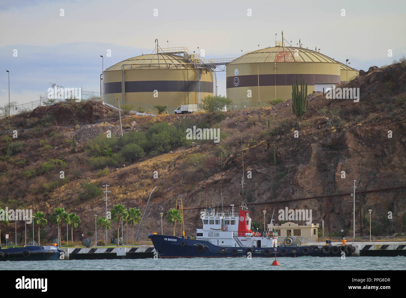 Rapport du port de pêche de Guaymas Sonora. Reportaje del Puerto pesquero de Guaymas Sonora. Banque D'Images