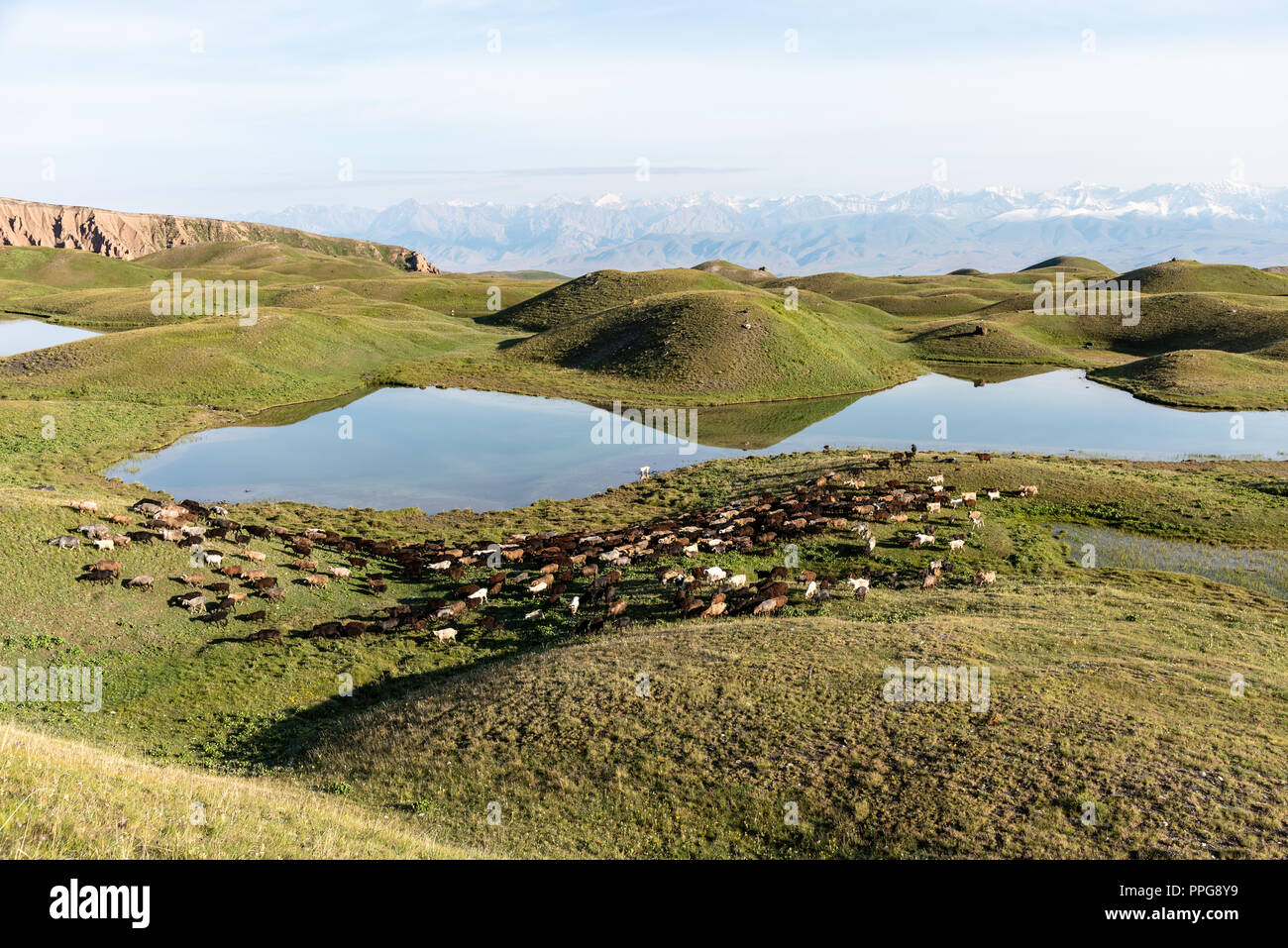 La vallée de Lénine de pointe avec ses lacs de montagne, le Kirghizistan Banque D'Images