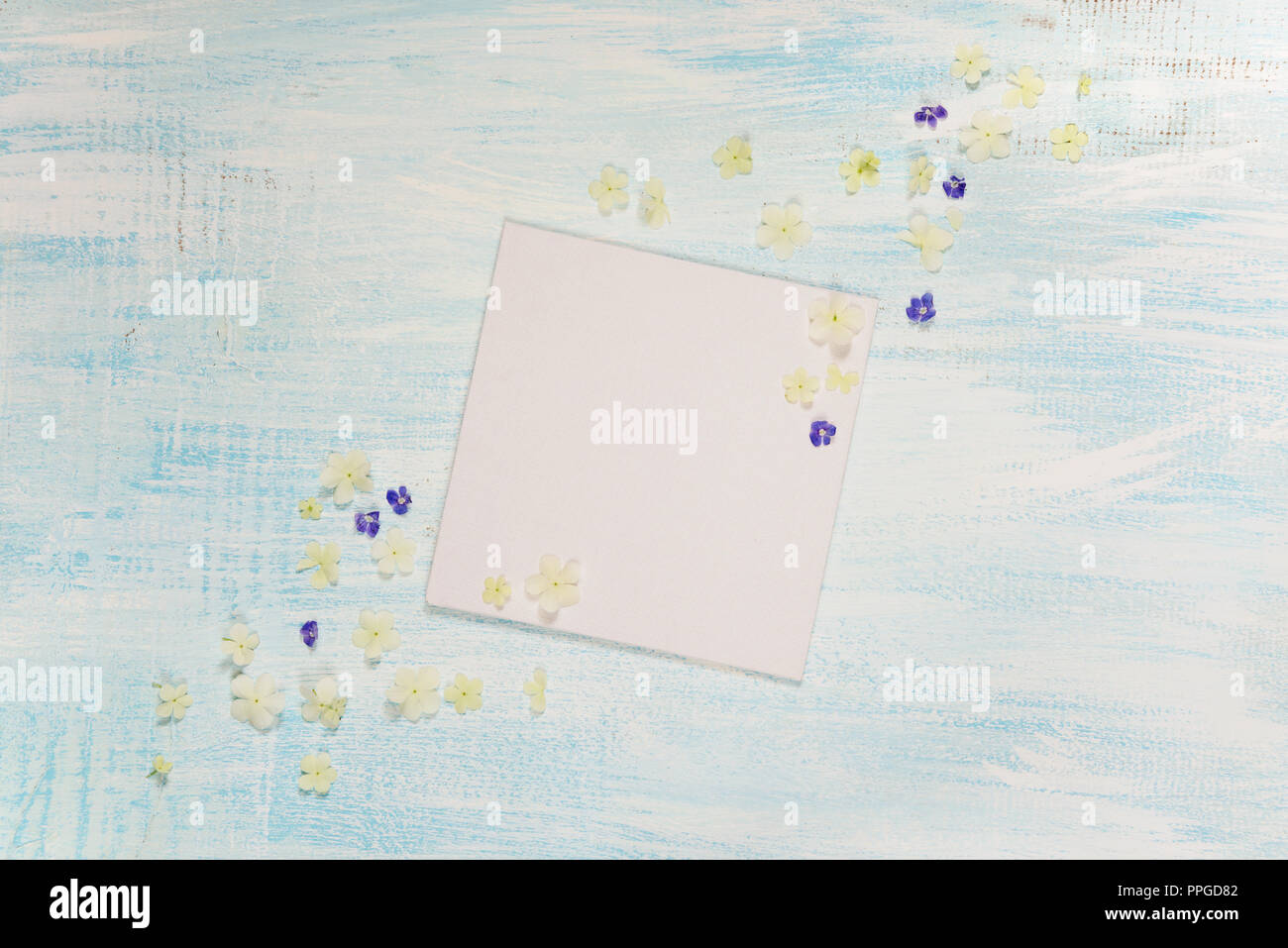 Page d'album de mariage ou un album photo de famille, bâti avec des fleurs bleu et blanc sur fond de bois clair ; haut Vue, télévision lay, overhead view Banque D'Images