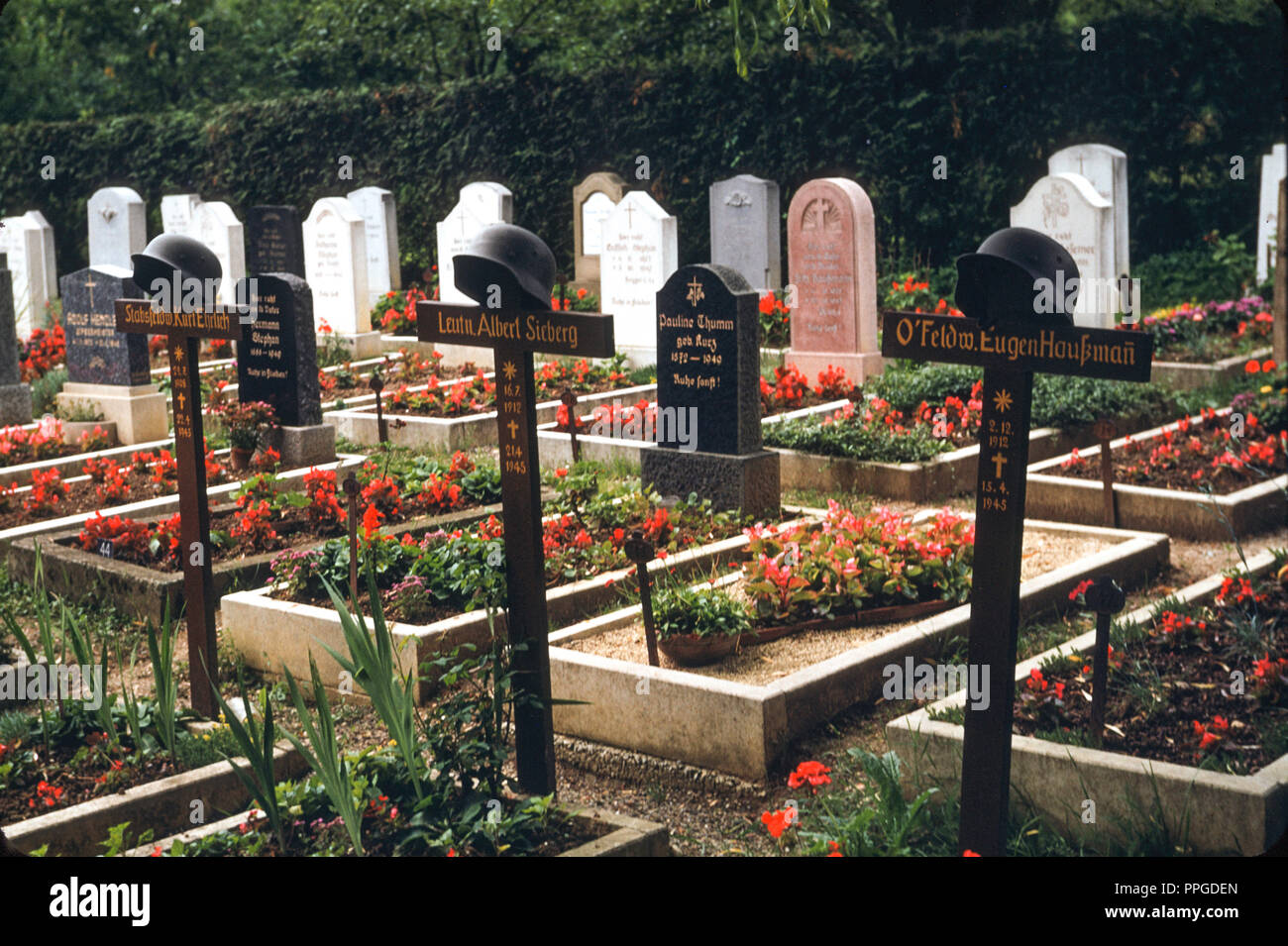 Cimetière des Soldats allemands tués lors de la Seconde Guerre mondiale, l'Italie, 1951 Banque D'Images