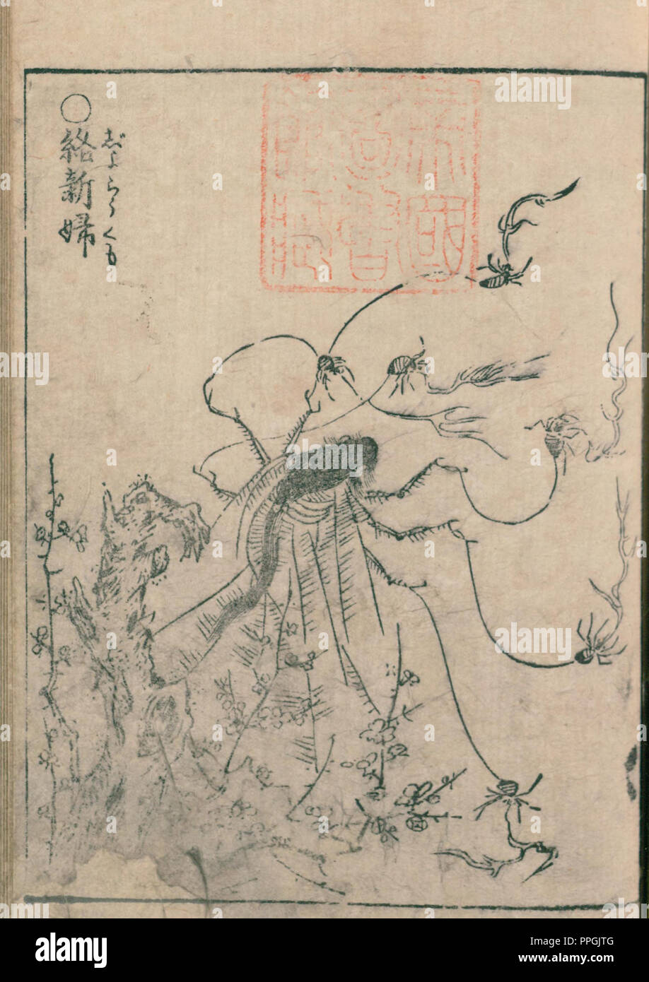 Jorougumo, illustration de Hyakki Yagyo Shui , 1805 (Bunka 2) période Edo, artiste Sekien Toriyama (1712 – 1788) Banque D'Images
