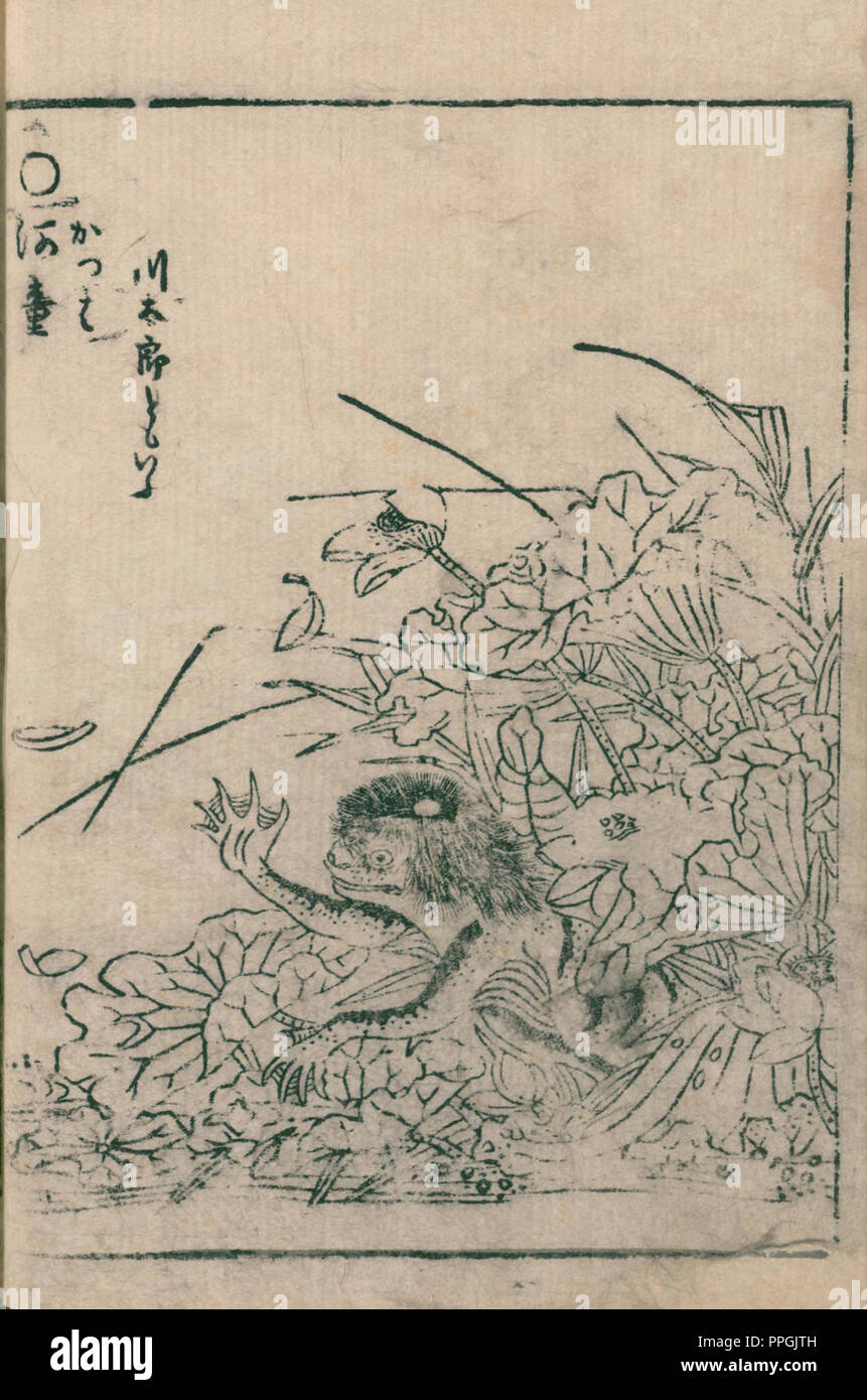 Kappa, illustration de Hyakki Yagyo Shui , 1805 (Bunka 2) période Edo, artiste Sekien Toriyama (1712 – 1788) Banque D'Images