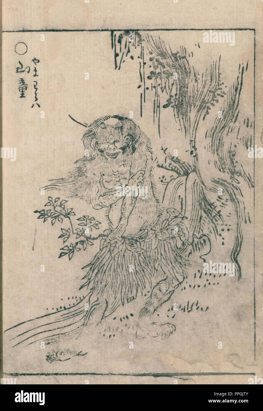 Yamawawawa, illustration de Hyakki Yagyo Shui , 1805 (Bunka 2) période Edo, artiste Sekien Toriyama (1712 – 1788) Banque D'Images