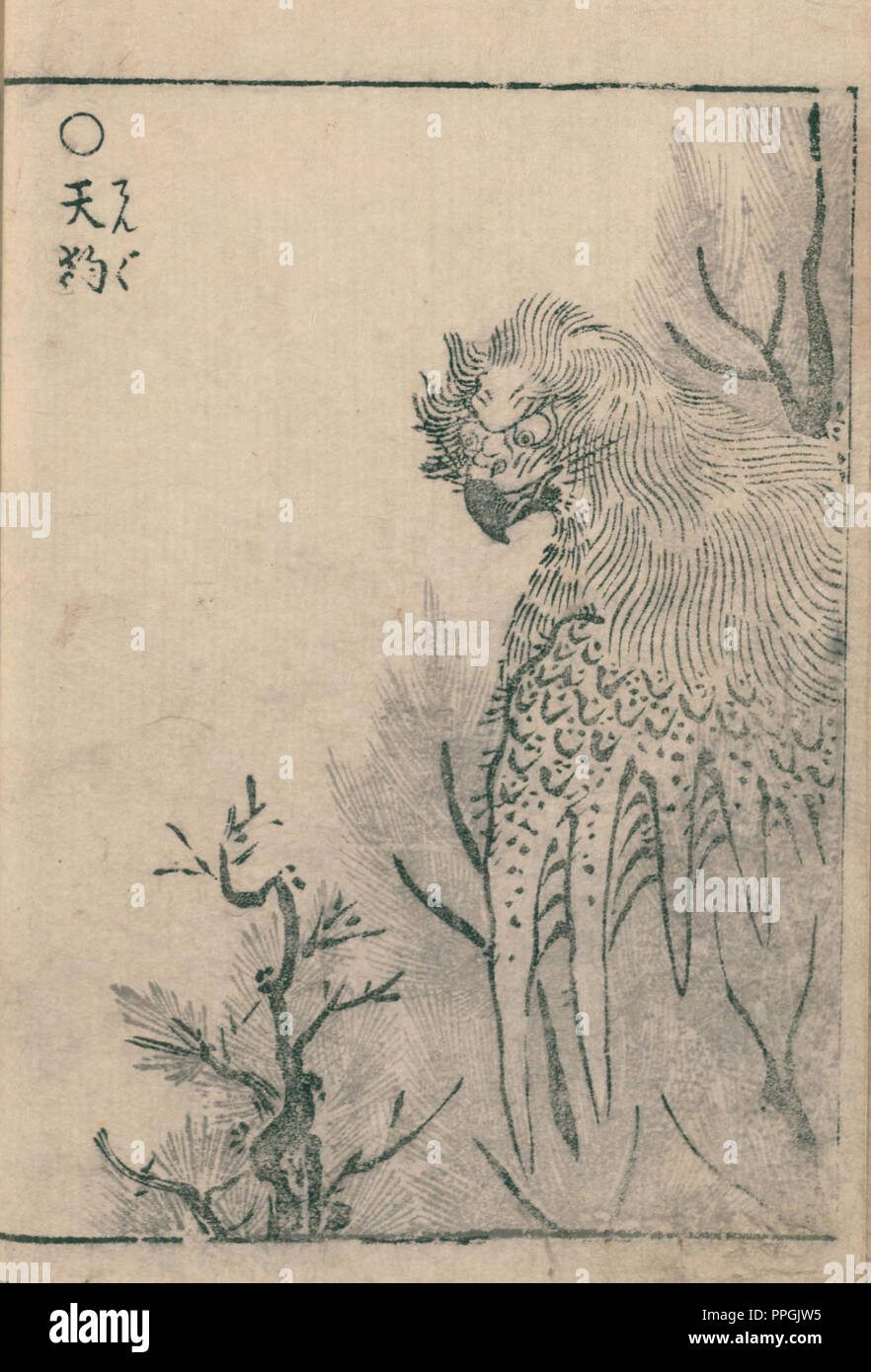 Tengu, illustration de Hyakki Yagyo Shui , 1805 (Bunka 2) période Edo, artiste Sekien Toriyama (1712 – 1788) Banque D'Images
