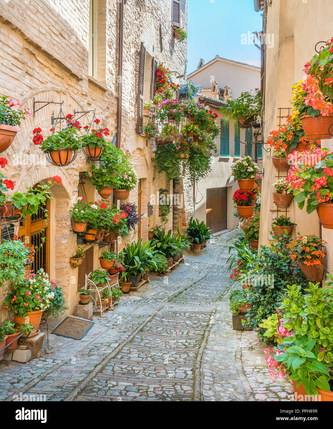 Vue panoramique à Spello, fleurie et pittoresque village de l'ombrie, Province de Pérouse, en Italie. Banque D'Images