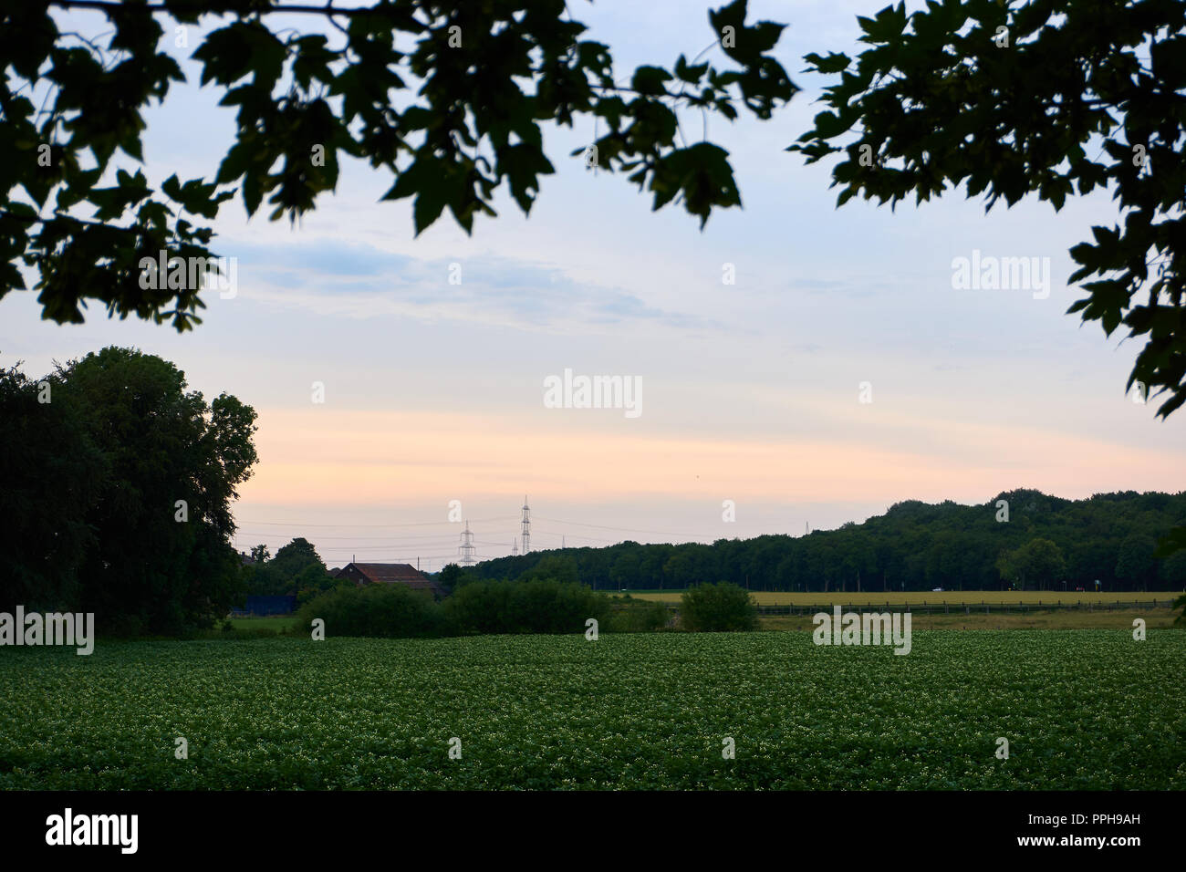 Photo de paysage et d'un coucher de soleil Banque D'Images