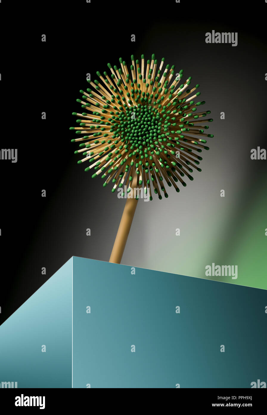 Fleur de pétales ronds en bois correspond avec conseils écologiques Banque D'Images