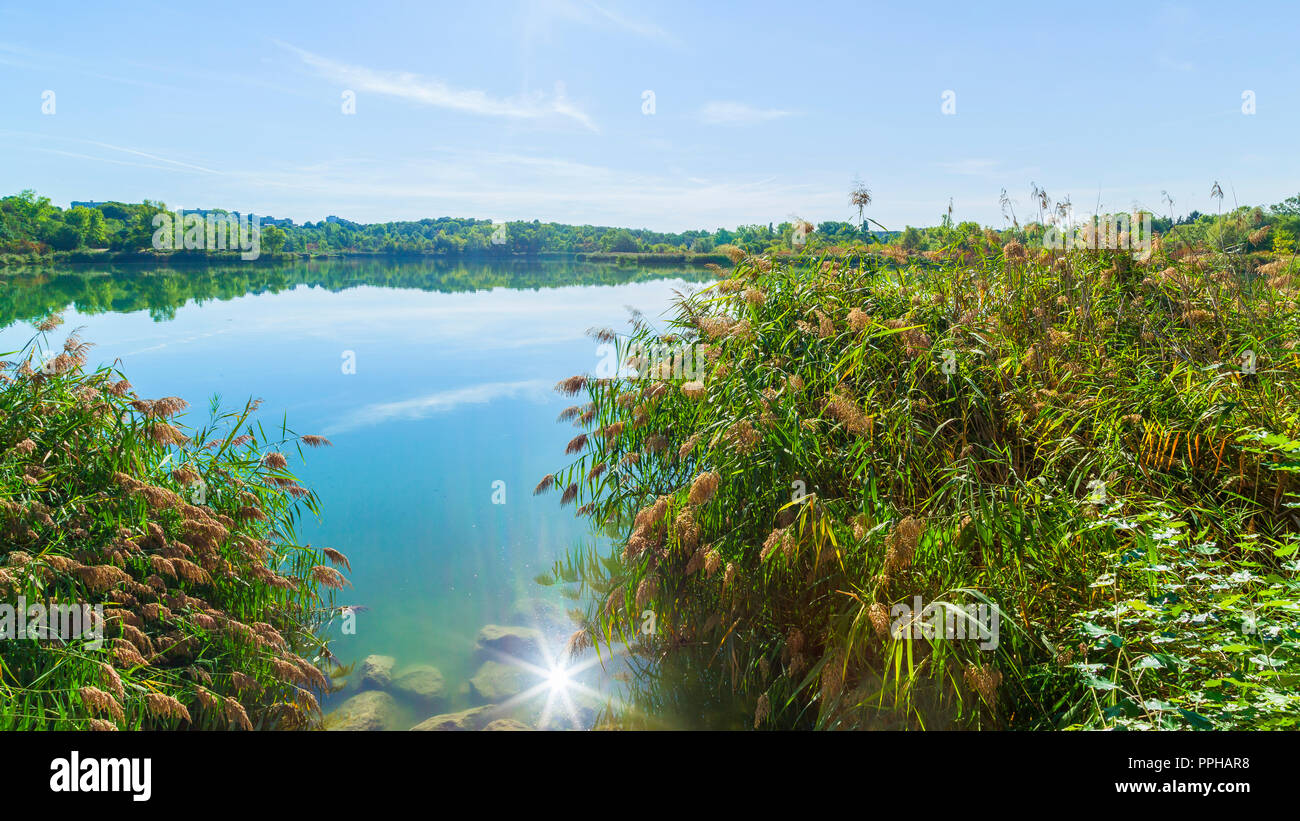 Wienerberg Teich, Autriche, Vienne Banque D'Images
