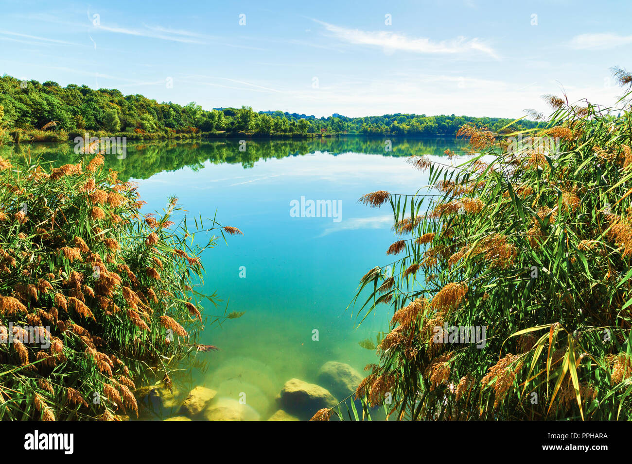 Wienerberg Teich, Autriche, Vienne Banque D'Images