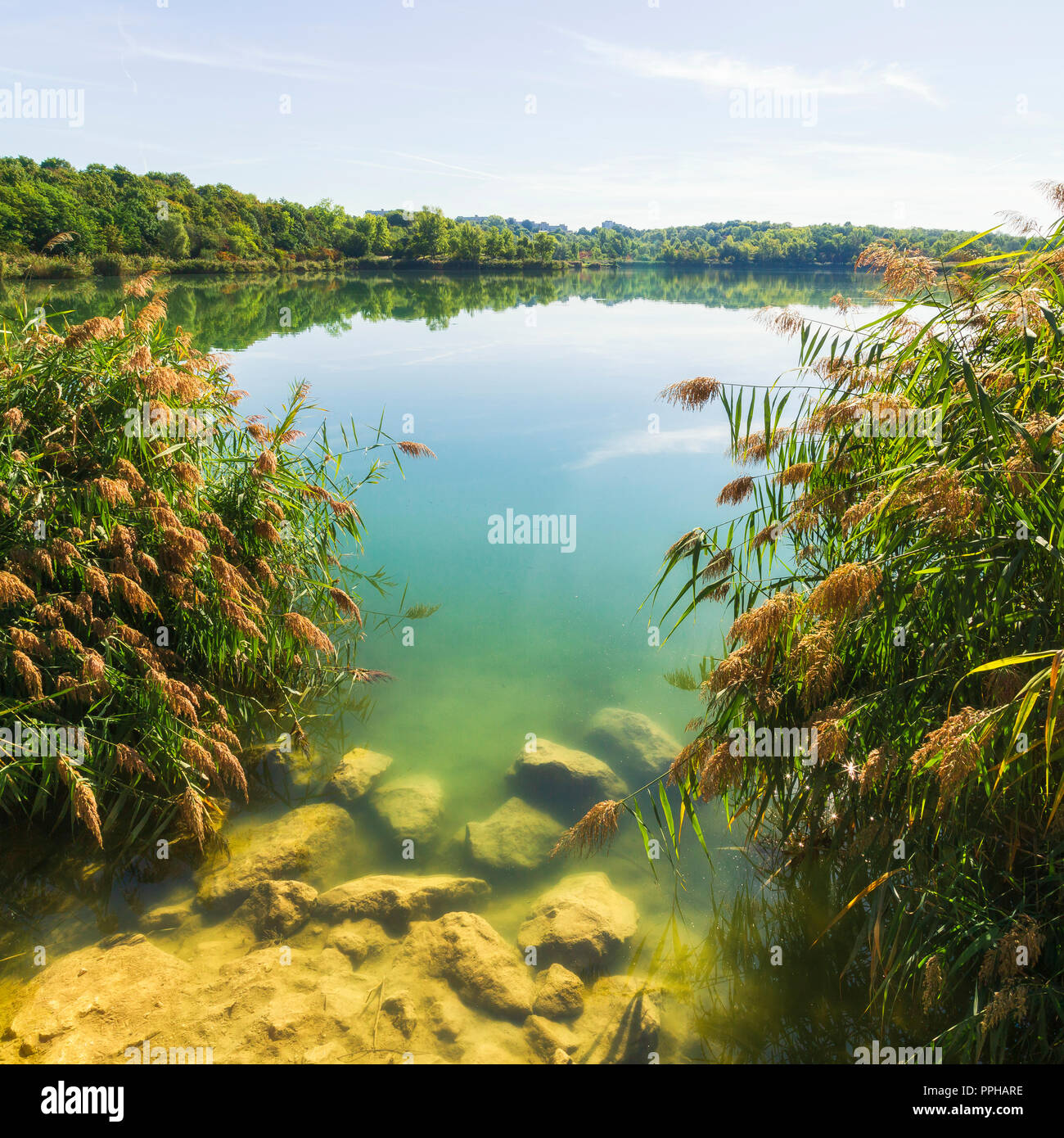 Wienerberg Teich, Autriche, Vienne Banque D'Images