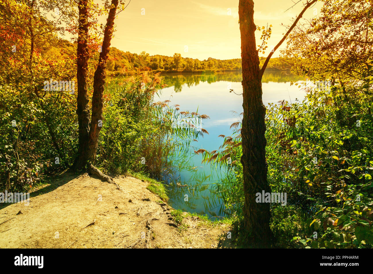 Wienerberg Teich, Autriche, Vienne Banque D'Images